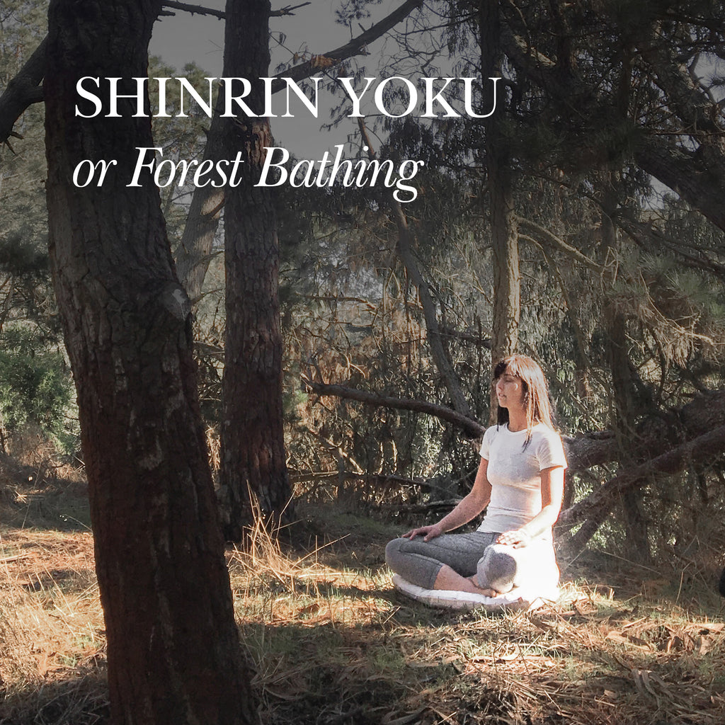 What is Shinrin Yoku or Forest Bathing?